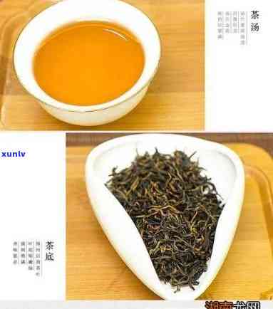 麦香红茶的主要特征-麦香红茶的主要特征是什么