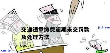 交通罚款逾期了怎么解决，怎样应对交通罚款逾期？