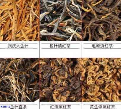 怎么区分红茶品种，如何区分不同种类的红茶？