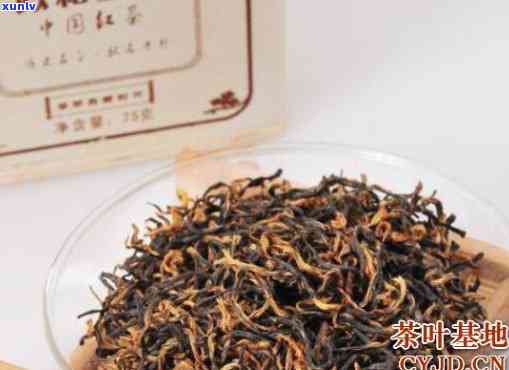 政和工夫红茶的品种-政和工夫红茶特点