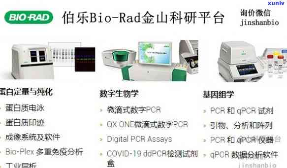 伯乐biorad，发掘生物科技潜力：探索伯乐BIO-RAD的创新研究和产品