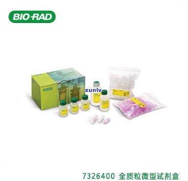 伯乐biorad，发掘生物科技潜力：探索伯乐BIO-RAD的创新研究和产品