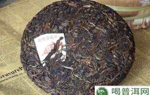 喝老茶存新茶的道理-喝老茶存新茶的道理是什么