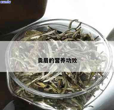 贡眉茶的功效与作用-贡眉茶的功效与作用及禁忌