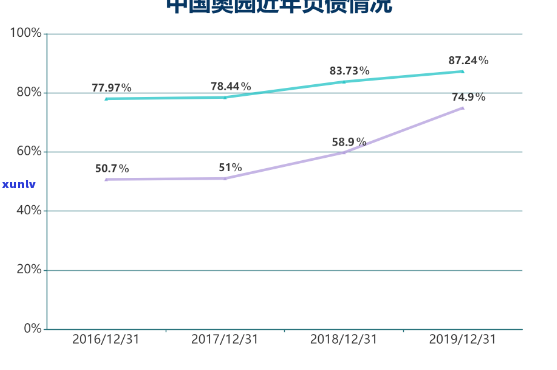 中国奥园债券，中国奥园发行新债，投资者关注信用风险