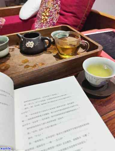 看书喝茶的心情说说，静心享受：看书与喝茶带来的静心情