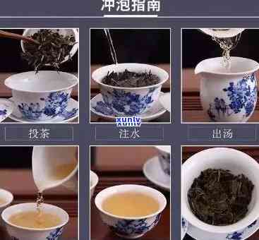 老班章茶树品种及价值：探究古茶树的市场价格与影响因素