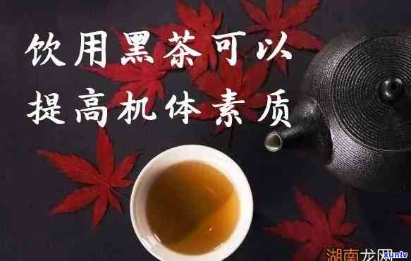 黑茶速溶茶：功效、作用及禁忌全解析