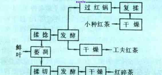 红茶的 *** 工艺流程 *** 详解及视频教程