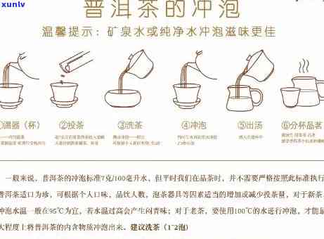 泡茶的基本步骤视频，学如何泡茶？看这个基本步骤视频！