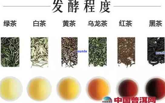 半发酵茶的工艺特点：深入解析其 *** 过程与独特风味