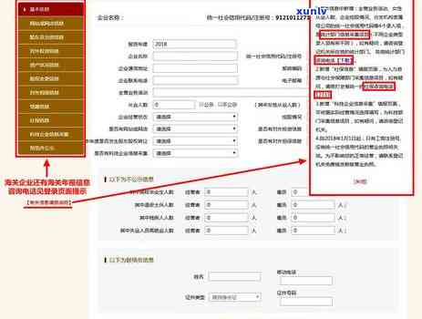 工商网上年报逾期怎么办，工商网上年报逾期解决指南