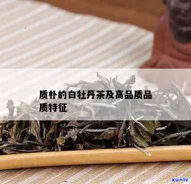 白牡丹茶的品质特征：探究其特点与魅力