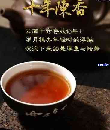 永德子地普洱茶，品味云南风情：探索永德子地普洱茶的世界