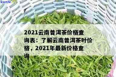 永德子箐锅底塘茶2021年价格，永德子箐锅底塘茶叶2021年最新市场价格一览