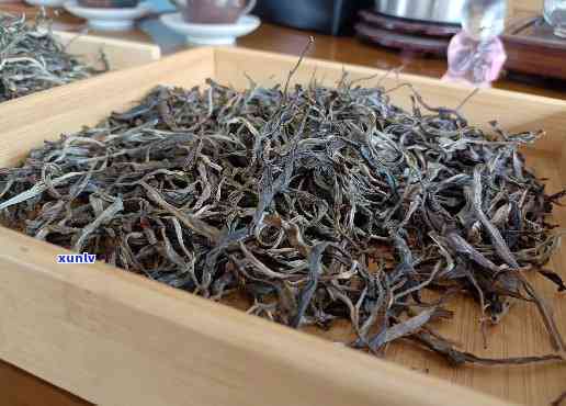 永德子箐茶的特点-永德子箐古树茶价格