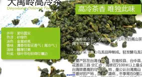 大陵高冷茶，探秘中国历文化名胜：大陵的高冷茶文化