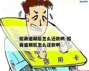 招商逾期一个多月怎么办，逾期招商：超过一个月，该怎样解决？