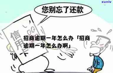 招商偶尔逾期一次-招商偶尔逾期一次会怎么样