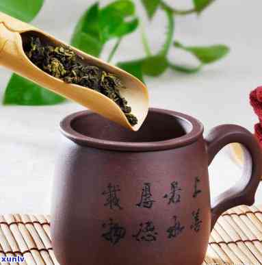 爱喝茶的人尊称什么？探索茶叶文化的尊重与敬意