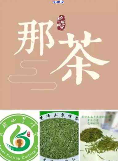 梵净山翠峰茶特点介绍：高清图片解析与详细说明