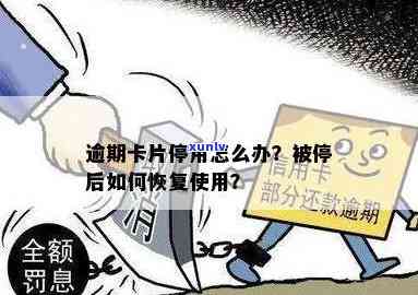 交通卡逾期被停用-交通卡逾期被停用怎么办