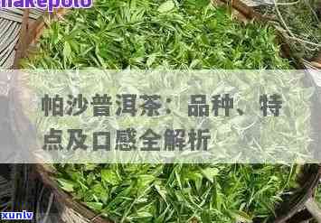 泰普洱茶全系列品种详解：从入门级到高端收藏品的全面指南