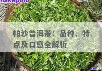 详解帕沙茶的优缺点-详解帕沙茶的优缺点是什么