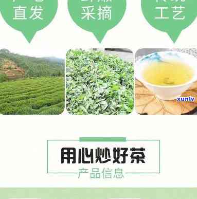 揭西大洋炒茶的特点-揭西大洋炒茶有多少种