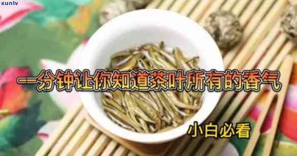 占茶的香味特征，探索占茶的独特香味特征