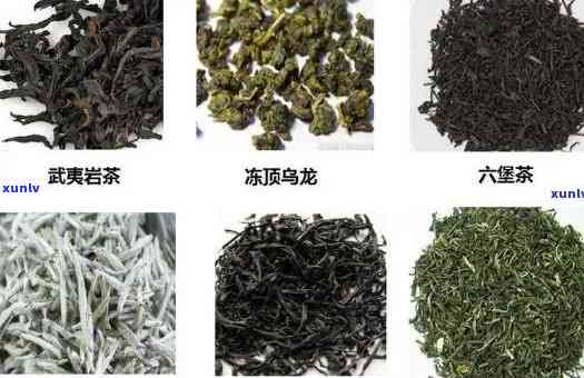 占品种最适宜 *** 什么茶？探讨其适合 *** 的茶叶种类