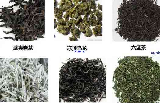 占品种最适宜 *** 什么茶？探讨其适合 *** 的茶叶种类