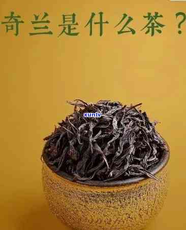 武夷山奇兰茶：岩茶、普洱还是红茶？