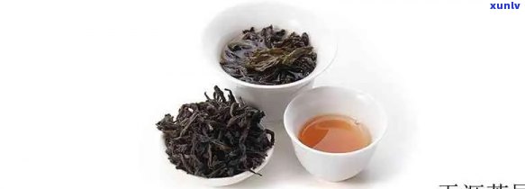 武夷山奇兰茶的特点-奇兰茶多少一斤