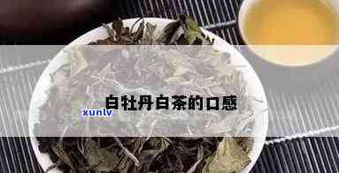 白牡丹茶的口感特点-白牡丹茶的口感特点是什么