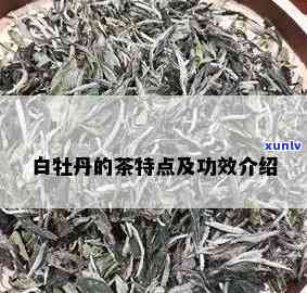 白牡丹茶的口感特点-白牡丹茶的口感特点是什么