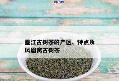 墨江凤凰窝古树茶的特点和价格，探秘墨江凤凰窝古树茶：特点与价格全解析