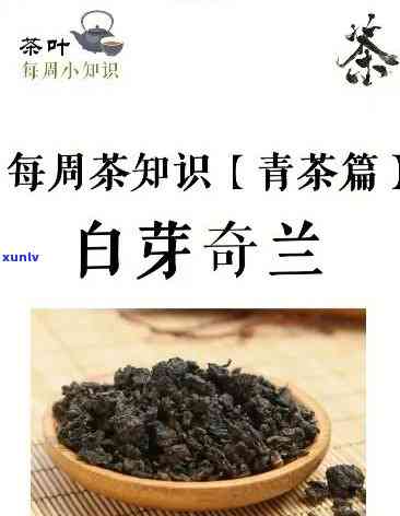 奇兰茶叶特点，探索奇兰茶叶的独特特点：一种口感与健的完美结合