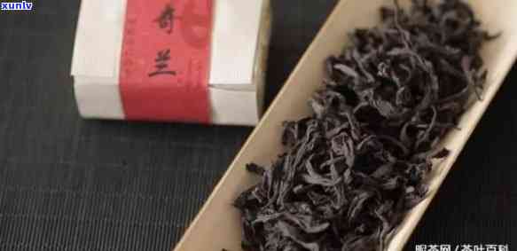 奇兰茶叶特点，探索奇兰茶叶的独特特点：一种口感与健的完美结合