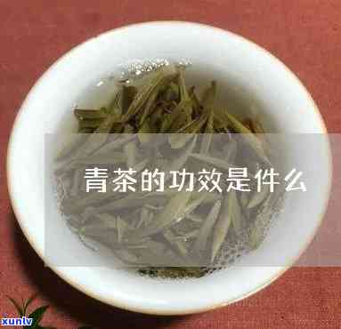 青茶的功效与作用点-青茶的功效与作用点是什么