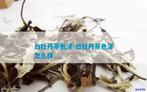 白牡丹茶的色特点：详解与图片展示