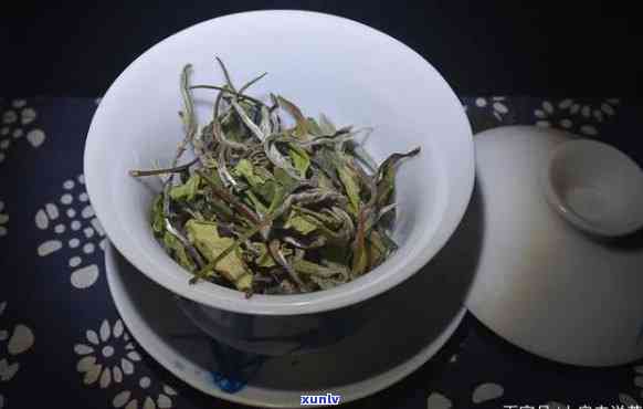 白牡丹茶口感介绍，品鉴白牡丹茶：揭秘其独特的口感