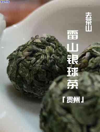 雷公山银球茶怎么样？了解其特性和所属类别——由雷公山银球茶业出品