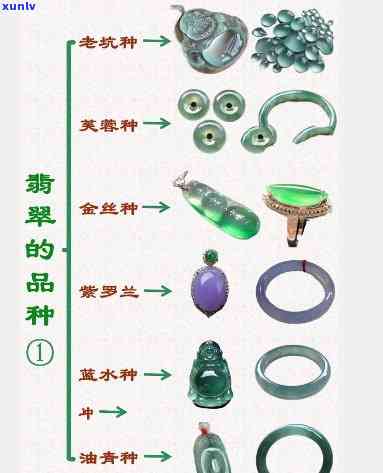 六爷翡翠讲解视频：深入解析翡翠知识与选购技巧