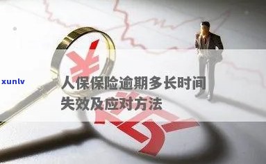 中国人保债权逾期会怎么样，中国人保债权逾期：可能面临的结果与解决方案