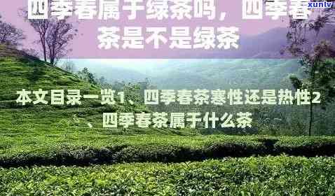 四春茶：热量高吗？会影响减肥效果吗？