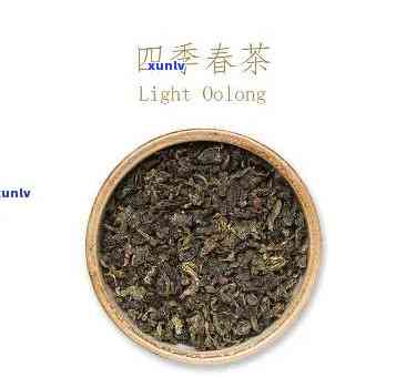 四春茶的热量很低-四春茶的热量很低吗