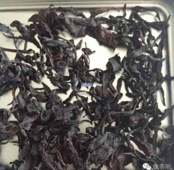 老挝古树茶：红茶？绿茶？全面解析