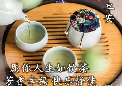 和懂茶的人一起喝茶下一句，品味人生：与懂茶之人共享茶香时刻