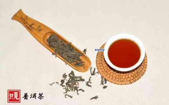 跟懂茶的人一起品茶-跟懂茶的人一起品茶的说说